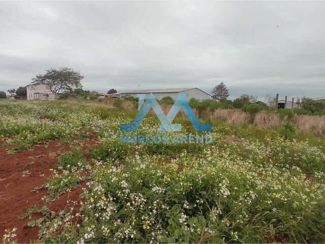 #172 - Terreno para Venda em Lagoa dos Três Cantos - RS - 2