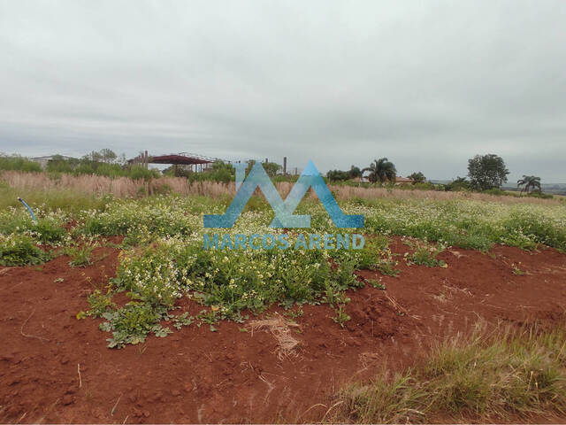 #172 - Terreno para Venda em Lagoa dos Três Cantos - RS - 3